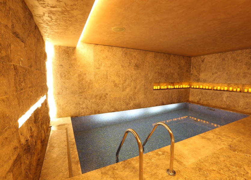 St Regis Iridium Spa Havuz